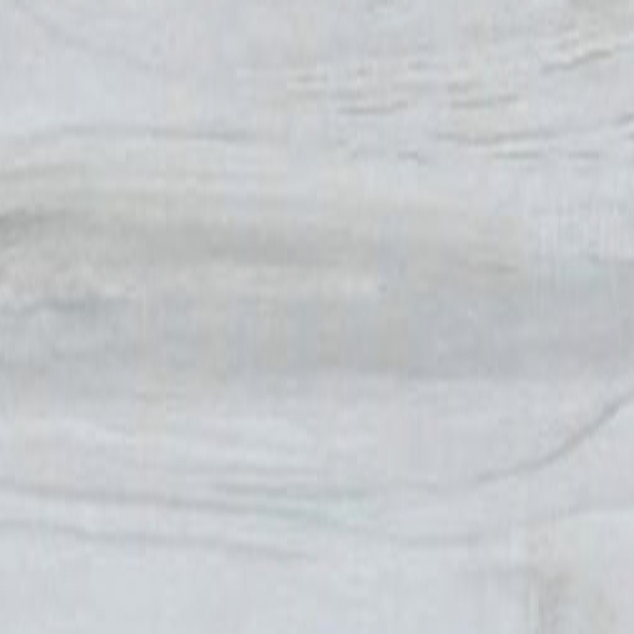 Macro detail of wood grain on a Balena wood-look porcelain plank